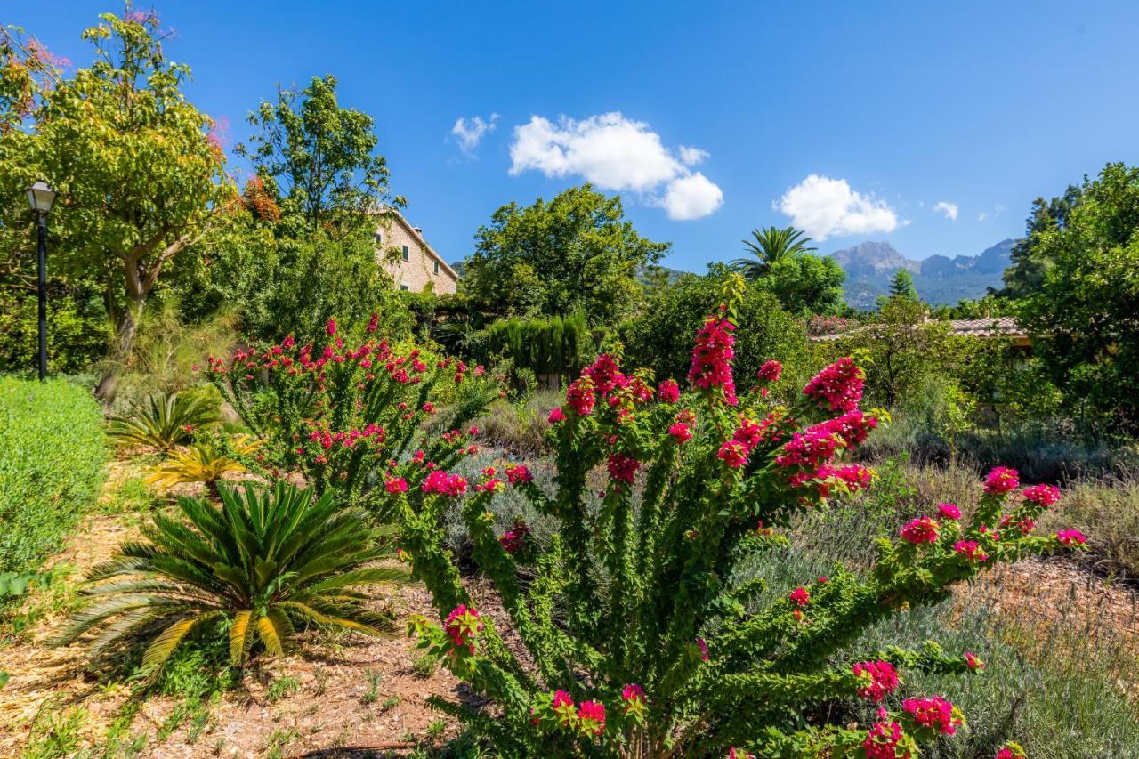 Finca Ca'S Curial - Agroturismo - Adults Only Soller Exterior photo