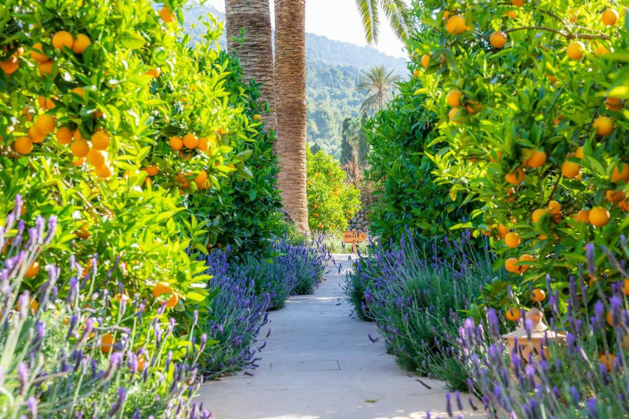 Finca Ca'S Curial - Agroturismo - Adults Only Soller Exterior photo