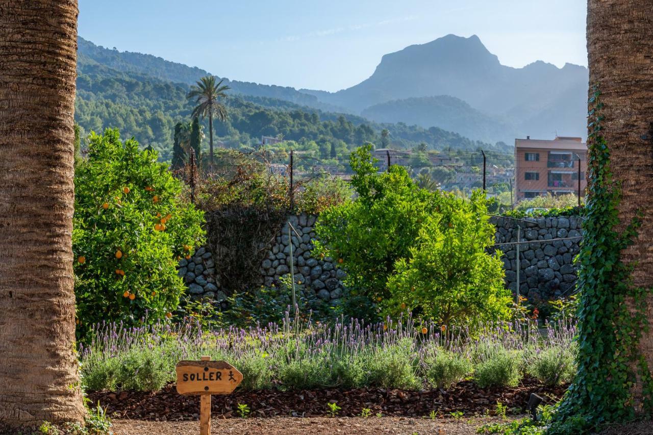 Finca Ca'S Curial - Agroturismo - Adults Only Soller Exterior photo