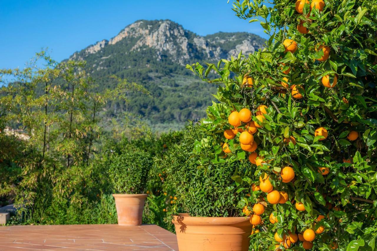 Finca Ca'S Curial - Agroturismo - Adults Only Soller Exterior photo