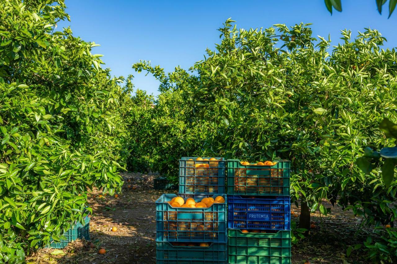 Finca Ca'S Curial - Agroturismo - Adults Only Soller Exterior photo