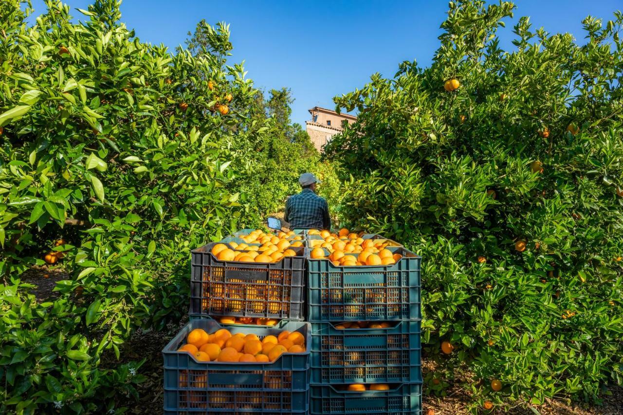 Finca Ca'S Curial - Agroturismo - Adults Only Soller Exterior photo
